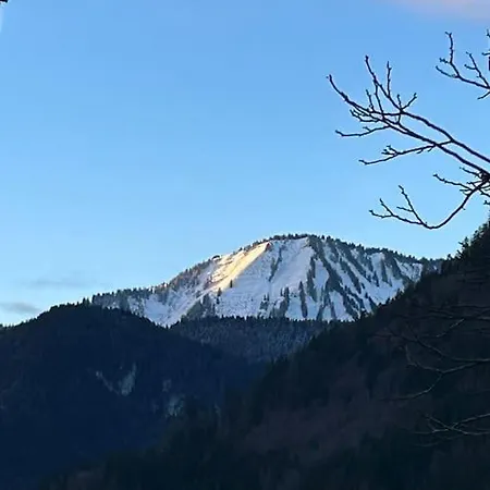 L'evasion Alpine - Superbe, Calme Et Lumineux Vacheresse